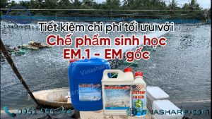 Cách ủ chế phẩm sinh học EM gốc thành EM thứ cấp, EM tỏi, EM chuối, EM5