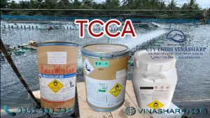 TCCA diệt khuẩn xử lý nước dùng trong Nuôi trồng Thuỷ sản