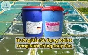 Sử Dụng Iodine Trong Thủy Sản