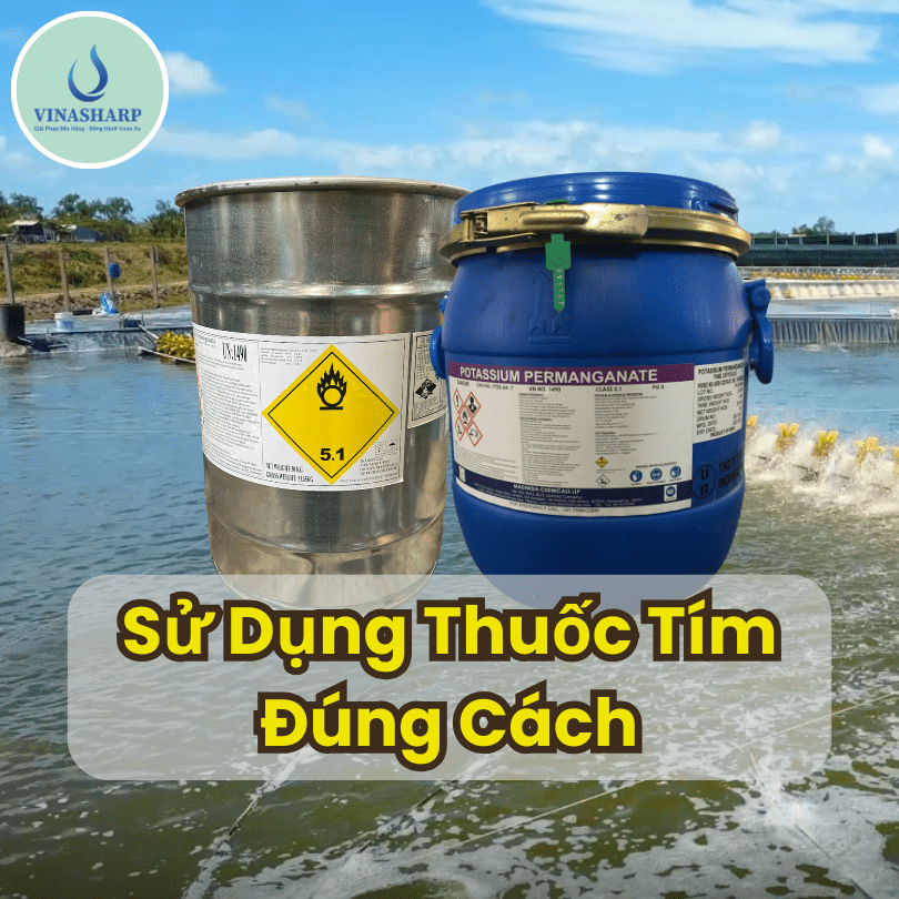 Sử dụng thuốc tím đúng cách