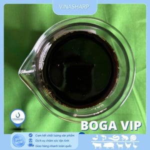 BOGA VIP - Bổ gan
