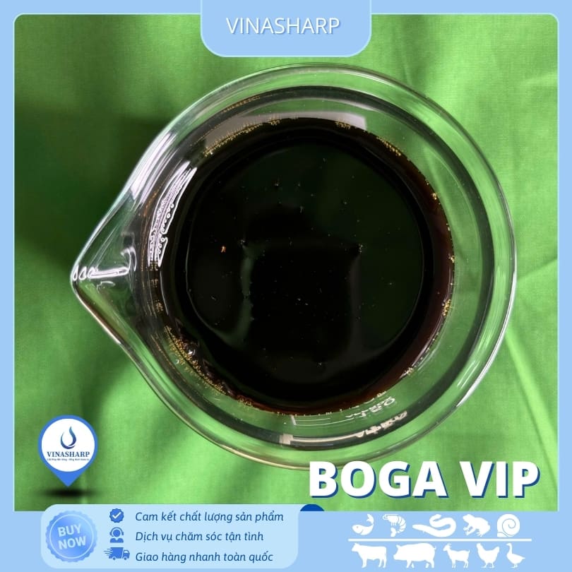 BOGA VIP 2 BOGA VIP - Bổ gan