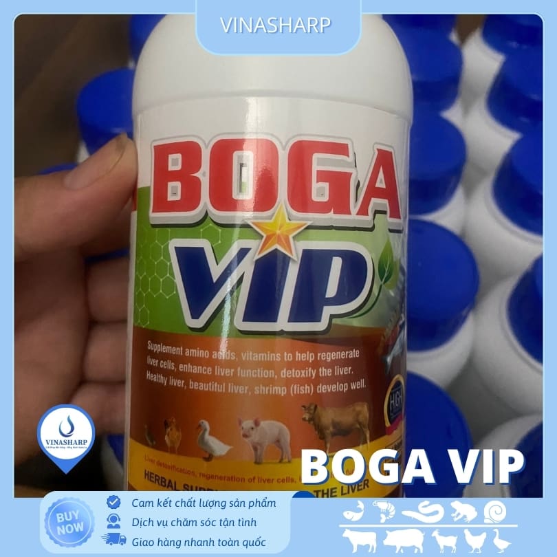 BOGA VIP 3 BOGA VIP - Bổ gan