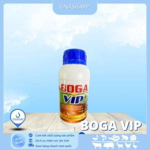 BOGA VIP - Bổ gan