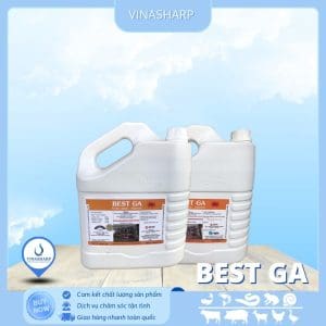 BEST GA - Thảo dược bổ gan