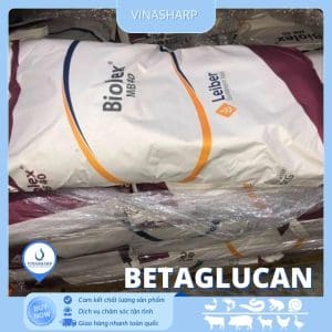 BETAGLUCAN - Bổ gan, tăng cường miễn dịch