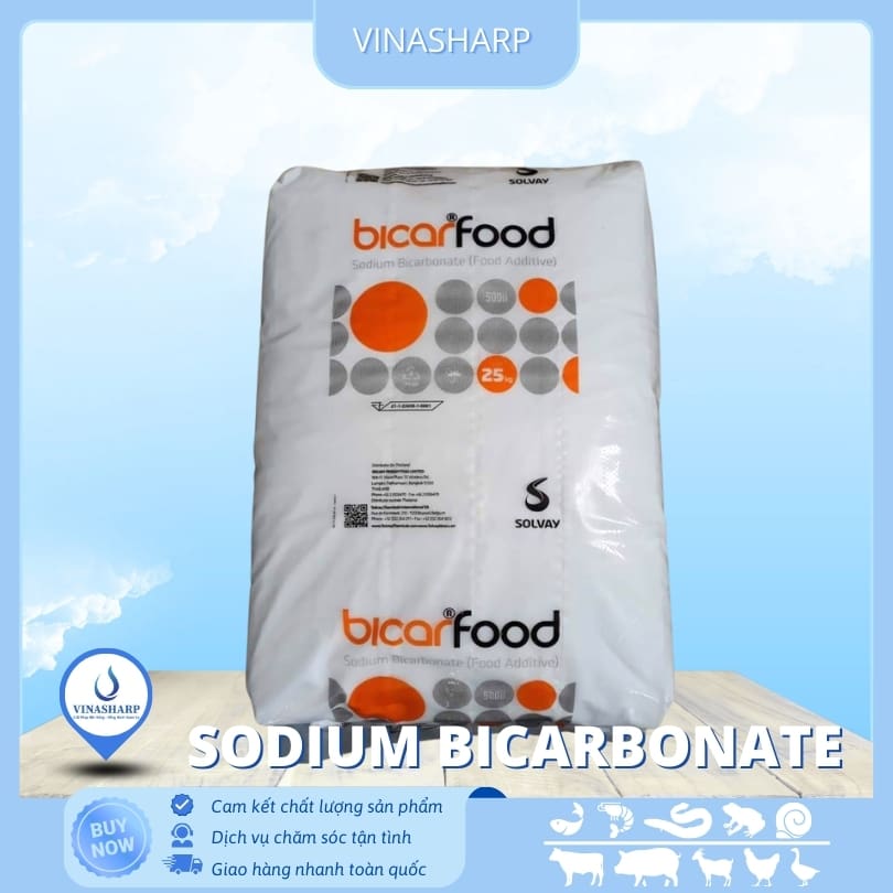 Bicar Food Sodium bicarbonate - Soda lạnh
