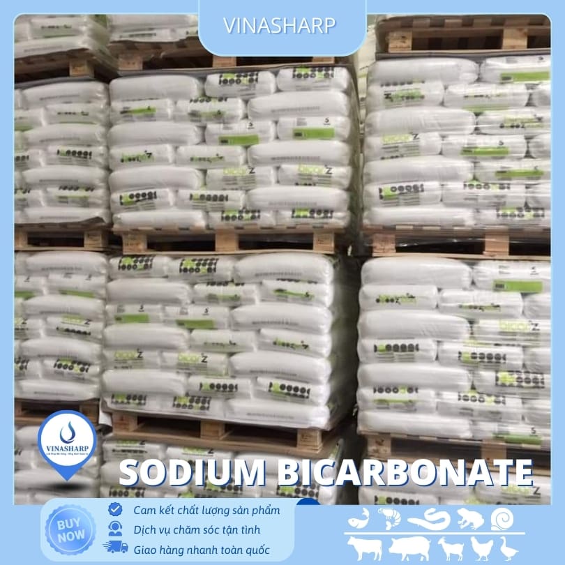 BicarZ 2 Sodium bicarbonate - Soda lạnh