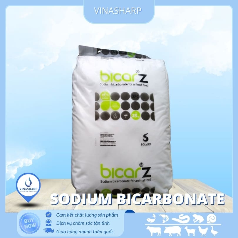 BicarZ Sodium bicarbonate - Soda lạnh
