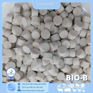 BIO-B - Vi sinh xử lý đáy
