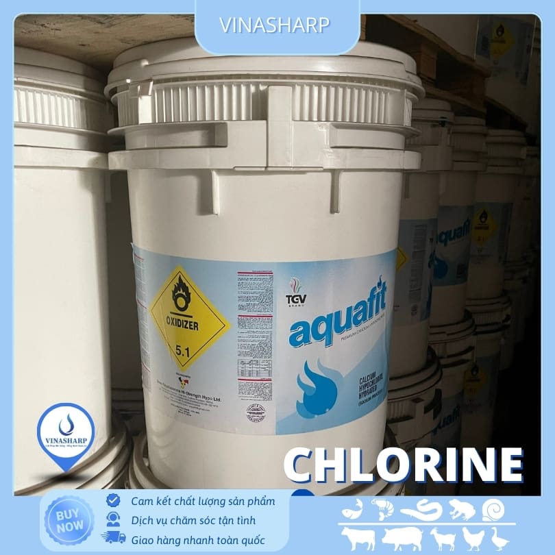 Chlorine Aquafit 1 Chlorine - Xử lý nước