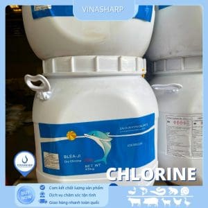 Chlorine - Xử lý nước