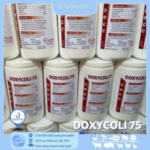 DOXYCOLI 75 - Thuốc thú y