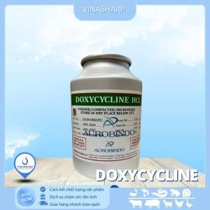 Doxycycline - kháng sinh nhóm Tetracycline