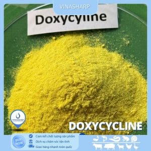 Doxycycline - kháng sinh nhóm Tetracycline