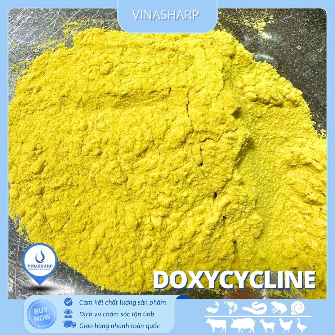 Doxy (3) Doxycycline - kháng sinh nhóm Tetracycline