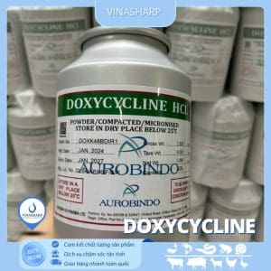 Doxycycline - kháng sinh nhóm Tetracycline