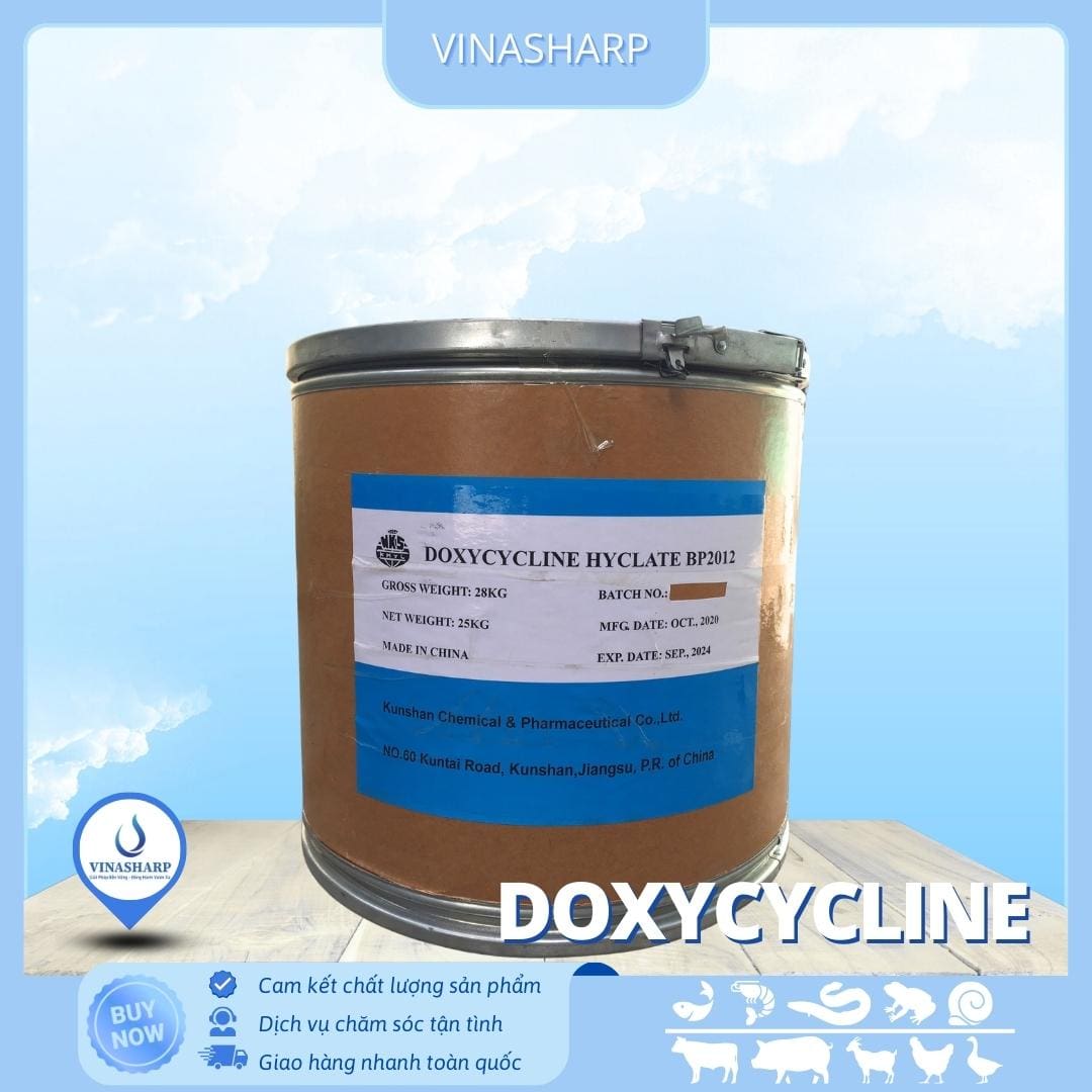 Doxy Doxycycline - kháng sinh nhóm Tetracycline