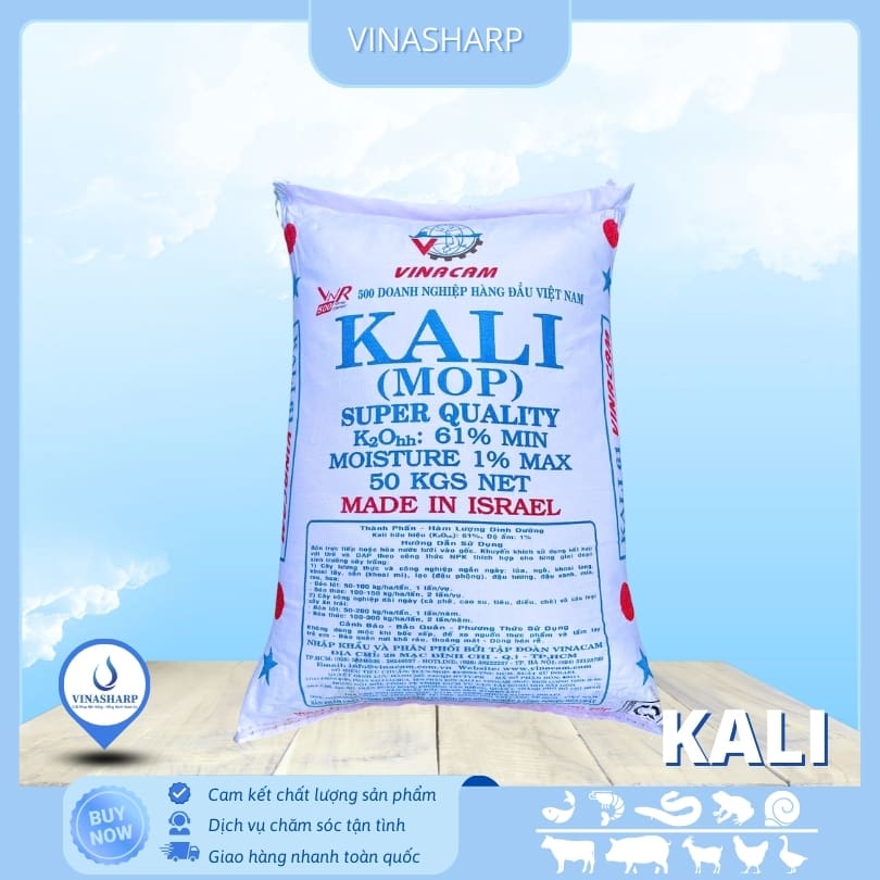 Kali Israel Kali Chlorua - Khoáng đơn