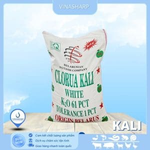 Kali Chlorua - Khoáng đơn