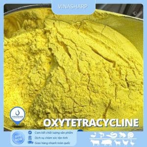 Oxytetracycline HCL - kháng sinh nhóm Tetracycline