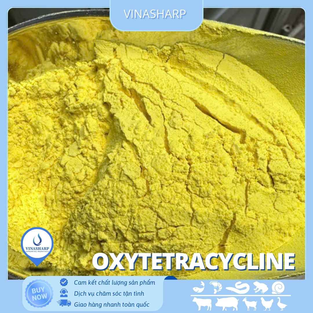 Oxytetra (3) Oxytetracycline HCL - kháng sinh nhóm Tetracycline