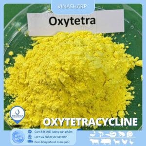 Oxytetracycline HCL - kháng sinh nhóm Tetracycline