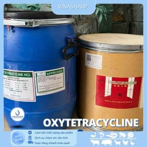 Oxytetracycline HCL - kháng sinh nhóm Tetracycline