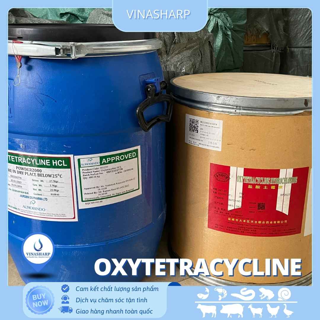 Oxytetra (5) Oxytetracycline HCL - kháng sinh nhóm Tetracycline