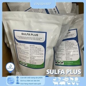 SULFA PLUS - Thuốc thú y