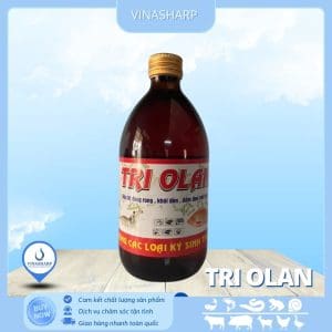 TRI OLAN - Trị đóng rong, khói đèn, đốm đen