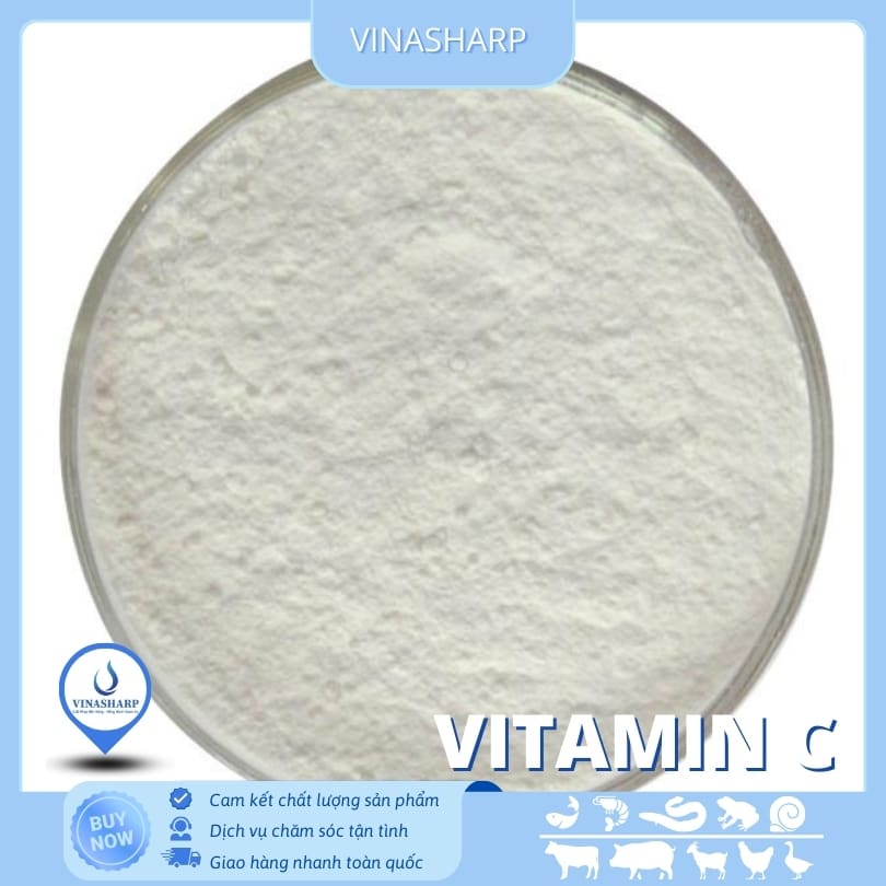 Vitamin C 1 Vitamin C