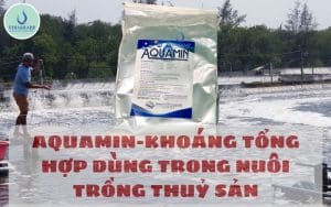 AQUAMIN-KHOÁNG TỔNG HỢP DÙNG TRONG NUÔI TRỒNG THUỶ SẢN