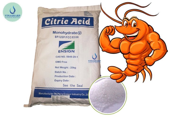 công dụng của ACID CITRIC
