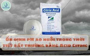 ACID CITRIC