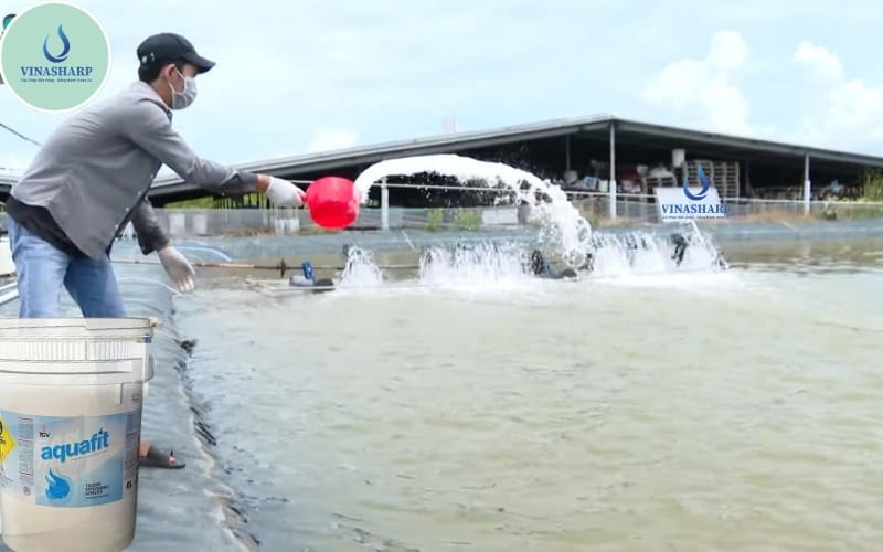 sử dụng Chlorine