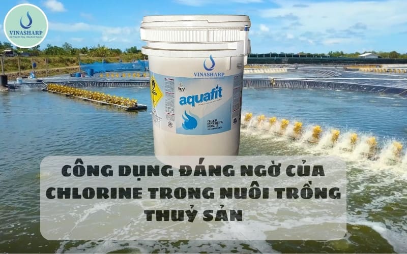 CÔNG DỤNG CỦA CHLORINE TRONG NUÔI TRỒNG THUỶ SẢN