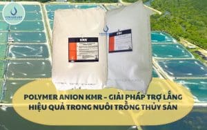POLYMER KMR – GIẢI PHÁP LẮNG HIỆU QUẢ CHO AO NUÔI