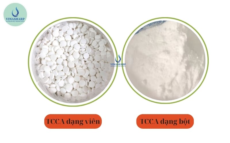 CÁC DẠNG CỦA TCCA
