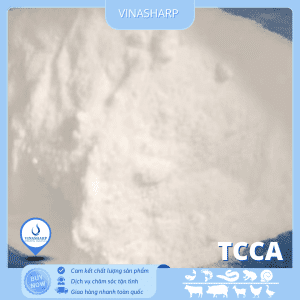 tcca