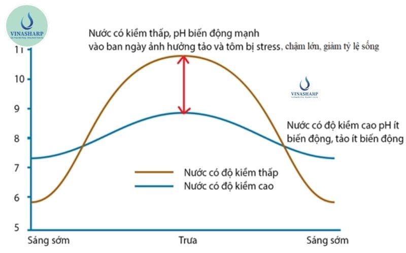 biến động pH