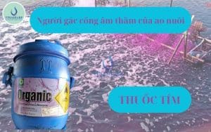 thuốc tím kmno4 trong nuôi trồng thuỷ sản