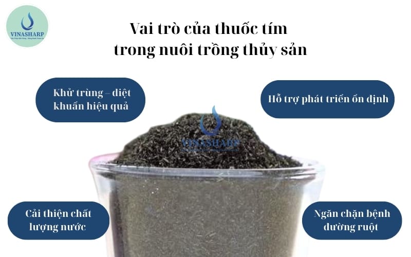 vai trò của thuốc tím