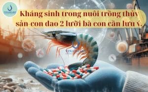 Kháng sinh trong nuôi trồng thủy sản-con dao 2 lưỡi bà con cần lưu ý.