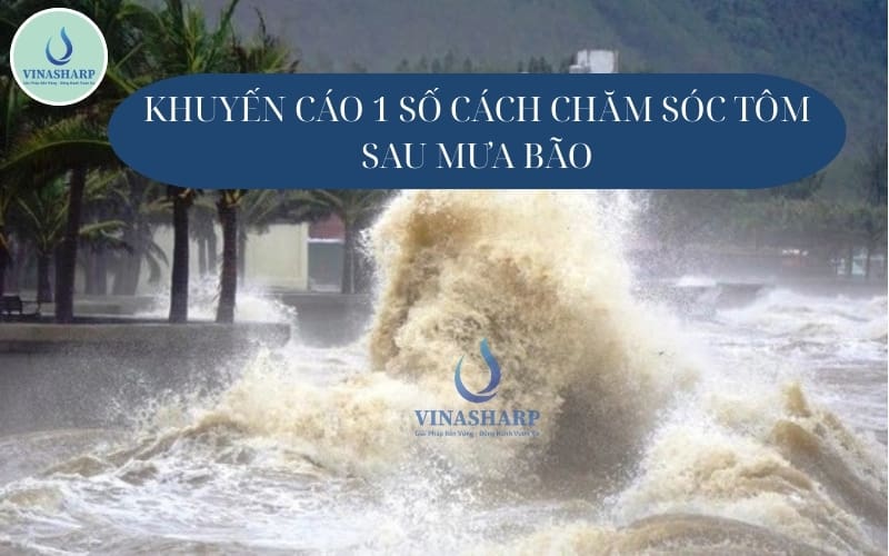 ảnh bìa