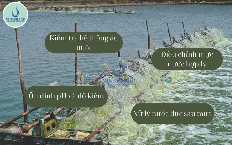 Ổn định môi trường nước