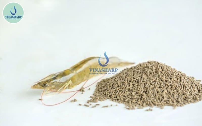 quản lý sức khoẻ và thức ăn tôm sau mưa bão