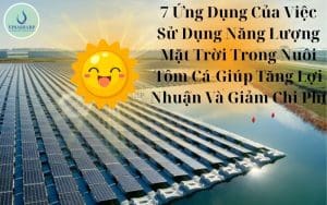 7 Ứng Dụng Của Việc Sử Dụng Năng Lượng Mặt Trời Trong Nuôi Tôm Cá-Giúp Tăng Lợi Nhuận Và Giảm Chi Phí
