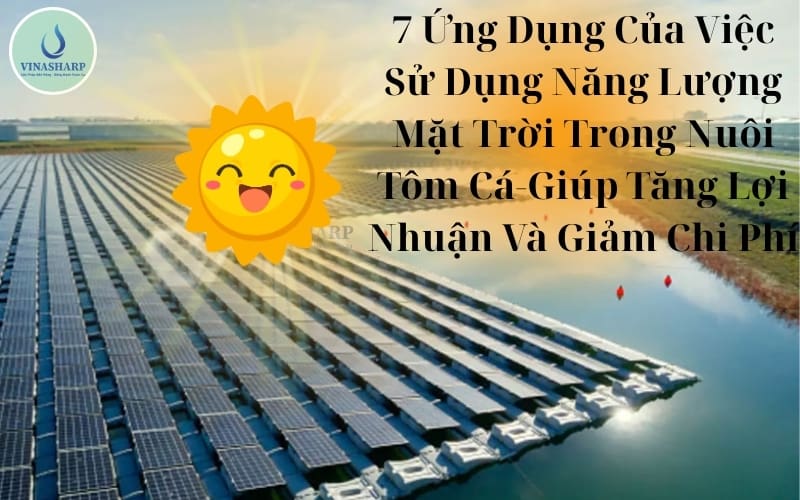 7 Ứng Dụng Của Việc Sử Dụng Năng Lượng Mặt Trời Trong Nuôi Tôm Cá-Giúp Tăng Lợi Nhuận Và Giảm Chi Phí