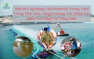 ứng dụng của Probiotic trong nuôi trồng thuỷ sản